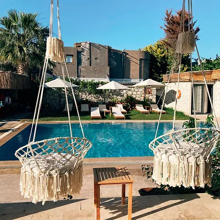 Bed & Breakfast Limon *