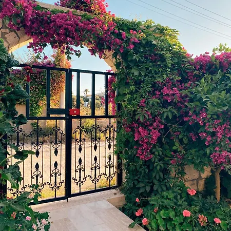 Nocleg ze śniadaniem Limon