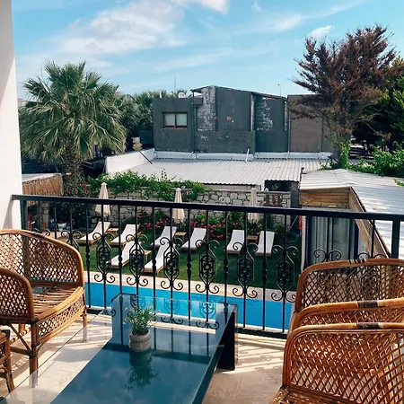 Limon Nocleg ze śniadaniem *