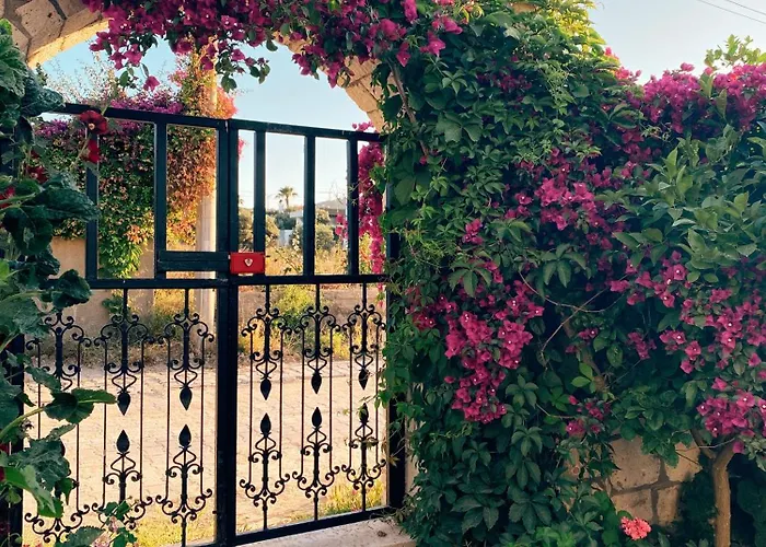 Oda ve Kahvaltı Limon